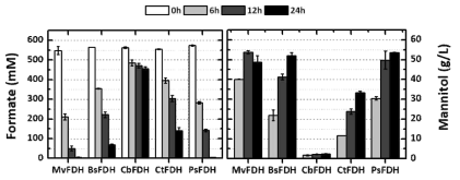 다양한 FDH 효소를 이용한 포름산 소모 및 만니톨 생산량 비교