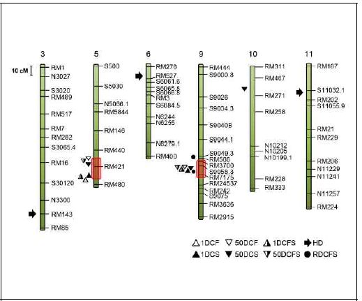SNU-SG1/M23의 F7 RIL 집단에서 Q-genes에 의해 발견된 QTL들의 염색체상 위치