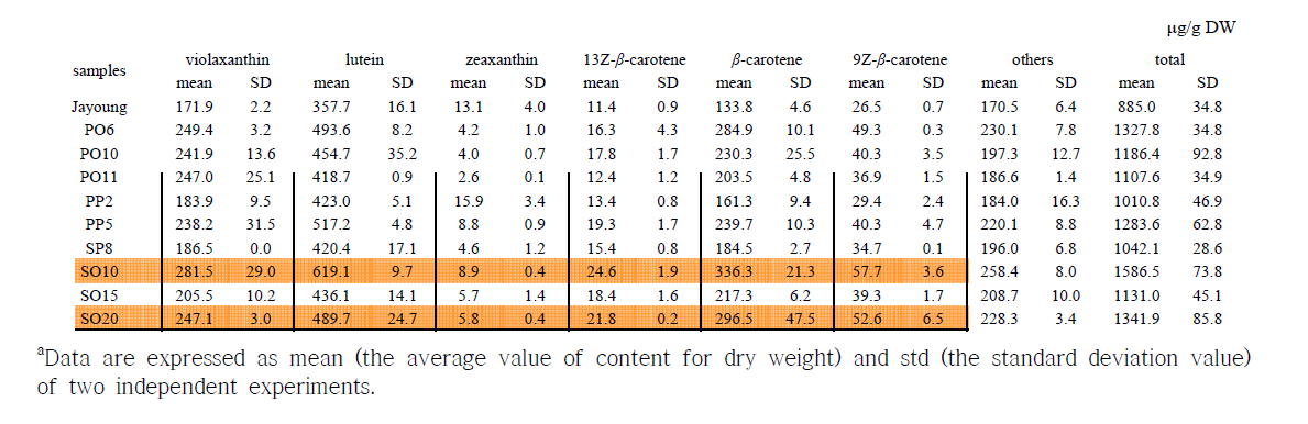 자영감자 형질전환체 잎 중의 카로티노이드 함량a