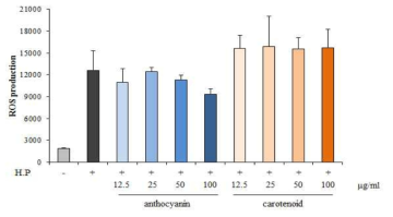 H. pylori균으로 ROS생성을 유도한 AGS cell에서 색소항산화추출물의 ROS 소거활성