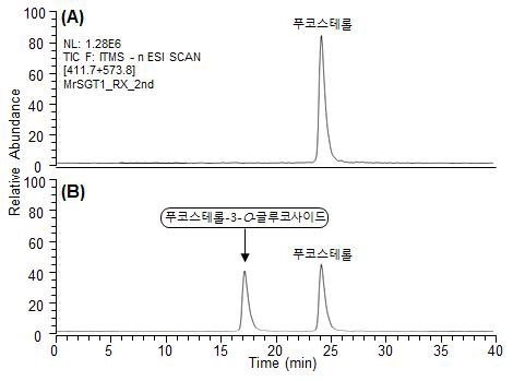 당전이 반응 후 산물의 HPLC-ESI-MS/MS 기기분석 결과