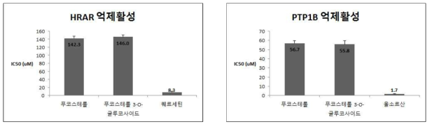 항 당뇨합병증 활성 검정 결과