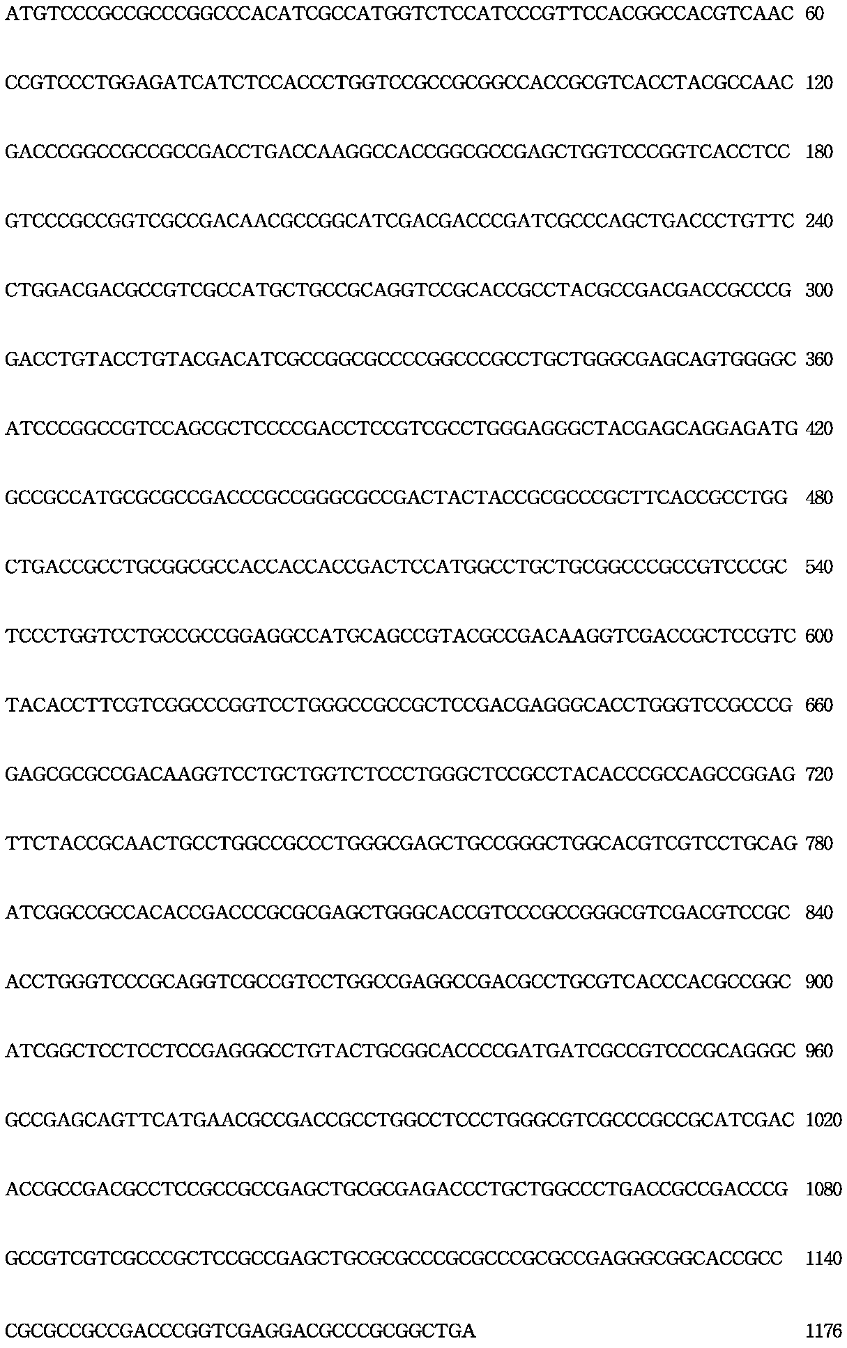 MrSPGT 암화화 유전자의 염기서열