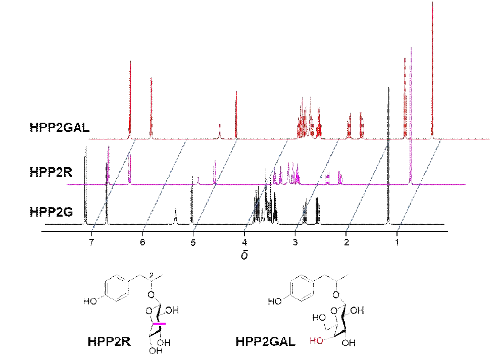 SP계열 신규 당부가 유도체인 HPP2R과 HPP2GAL의 1H-NMR 스펙트럼 및 규명된 화학 구조