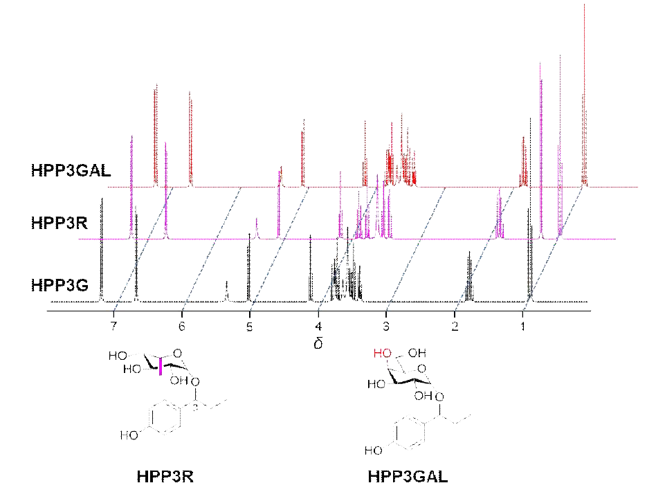 SP계열 신규 당부가 유도체인 HPP3R과 HPP3GAL의 1H-NMR 스펙트럼 및 규명된 화학 구조