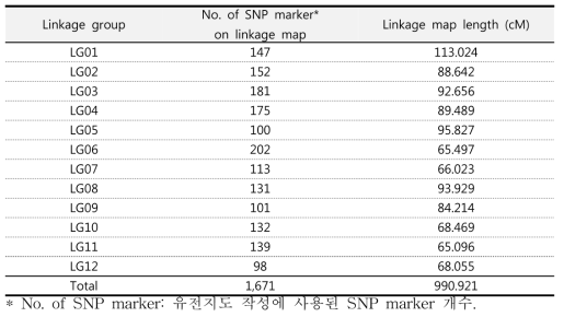 연관그룹내의 SNP 분자표지 분포