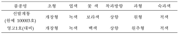 ‘원예 100003호’의 고유특성