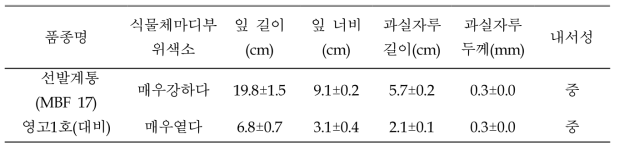 ‘원예 100003호’의 가변특성