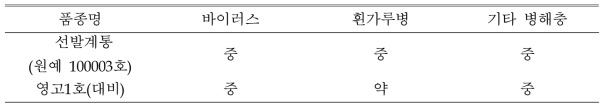 ‘원예 100003호’의 병해충저항성