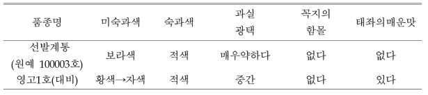 ‘원예 100003호’의 품질특성