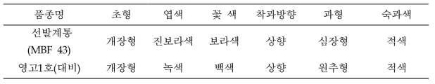 ‘원예 100004호’의 고유특성