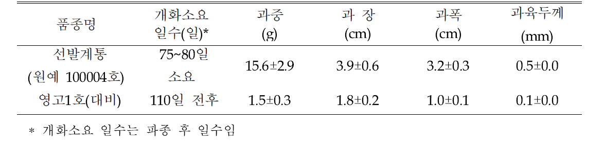 ‘원예 100004호’의 가변특성