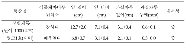 ‘원예 100004호’의 가변특성