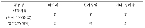 ‘원예 100004호’의 병해충저항성