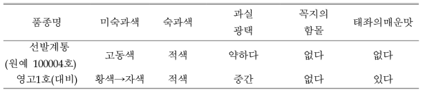 ‘원예 100004호’의 품질특성