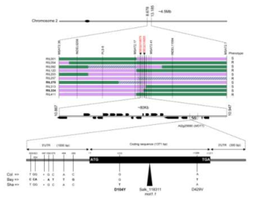 Fine-mapping 의 예. [Poormohammad Kiani S et al. (2012) Allelic Heterogeneity and Trade-Off Shape Natural Variation for Response to Soil Micronutrient. PLoS Genet 8(7): e1002814]