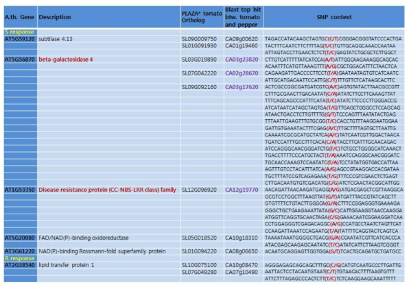 Non-syn SNPs in the homologs between pepper and tomato genes that are reported at differentially expressed genes (DEG)