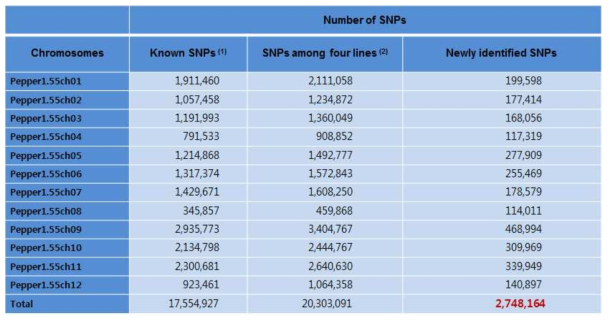 Summary of SNP identification from current and previous researches