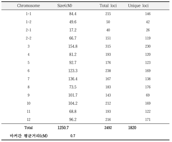 제작된 고추 고밀도 유전지도의 각 chromosome 정보