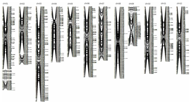 GBS-based Genetic map of pepper using 169 F8 RIL population