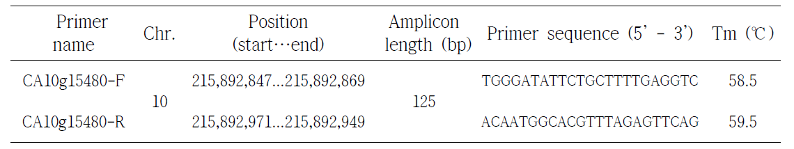 Primer Information used for quantitative real-time PCR