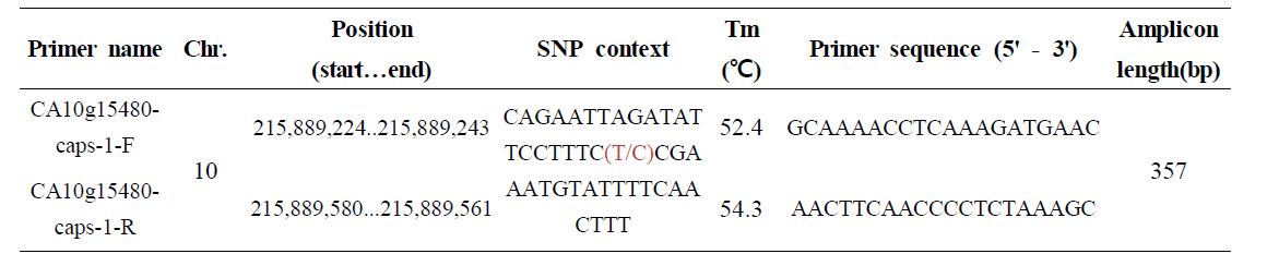 CAPS marker information designed from the exon region of CA10g15480