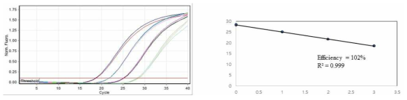 (좌) YCM334의 contorol cDNA를 이용하여 증폭한 b-TUB primer의 real-time PCR 결과. (우) b-TUB primer의 efficiency graph