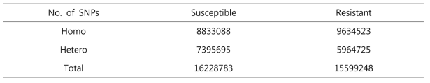 Statistics of SNPs