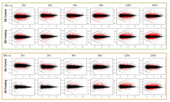 저온처리 후 시간경과에 따른 유전자 발현 변화 비교 (MA plots) (위) 대조구(야생형)의 저온처리와 비처리간 비교 (아래) GI 발현조절 배추의 저온처리와 비처리간 비교