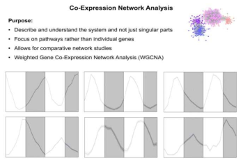 Weighted Gene Co-Expression Network Analysis of Brassica rapa circadian transcriptome.Six most populous co-expression sets assorted according to circadian phase