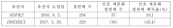 톨루엔 정화 기능 유전자 NDPK2 및 DREB2C1 도입 산호수 줄기단편유래 재분화 신초 획득