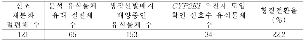 CYP2E1 유전자 도입 후 획득 재분화 식물체 PCR 분석