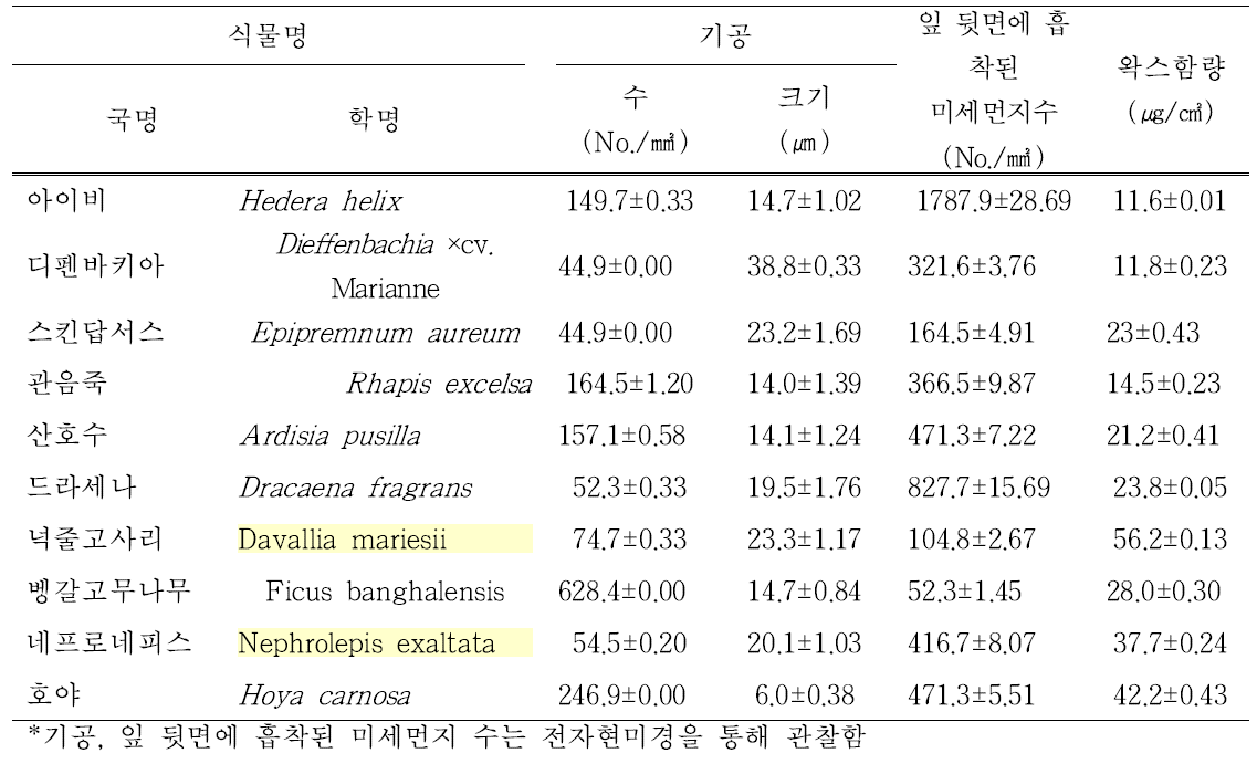 측정 식물의 기공 수, 크기 및 잎 뒷면에 흡착된 미세먼지 수, 잎 표면의 왁스함량