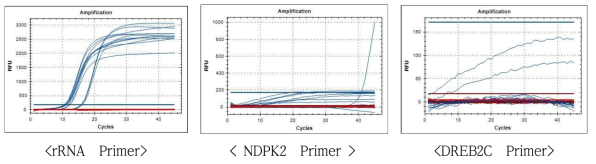 톨루엔 제거효율이 높은 식물과 낮은 식물의 Real Time qRT-PCR의 Quantification curve