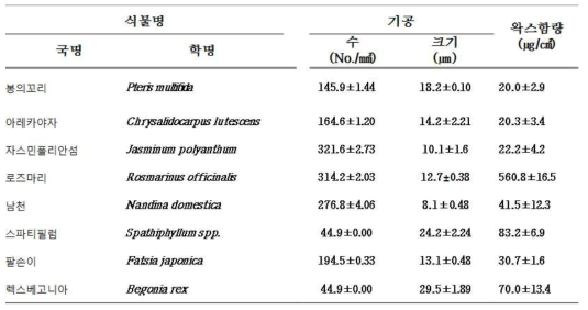 식물의 기공 수, 크기 및 잎 표면의 왁스함량