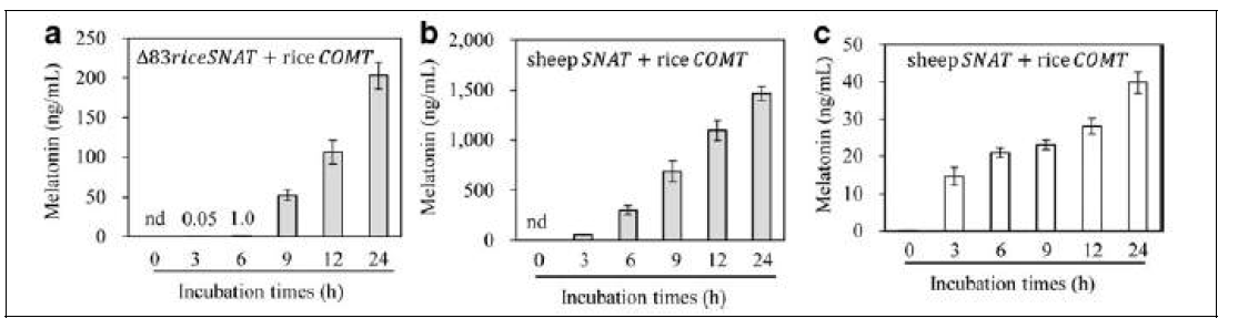대장균에서 배양시간별 멜라토닌 함량 측정. a, 벼 SNAT 와 벼 COMT 이중 발현 대장균에 서 멜라토닌 함량; b, 양 SNAT 와 벼 COMT 이중발현 대장균에서 멜라토닌 함량 측정; c, 양 SNAT 와 벼 ASMT1 유전자 이중발현 대장균에서 멜라토닌 함량 측정