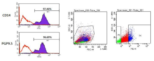 FACS를 이용한 돼지 정소세포에서의 CD14와 PGP9.5발현 분석