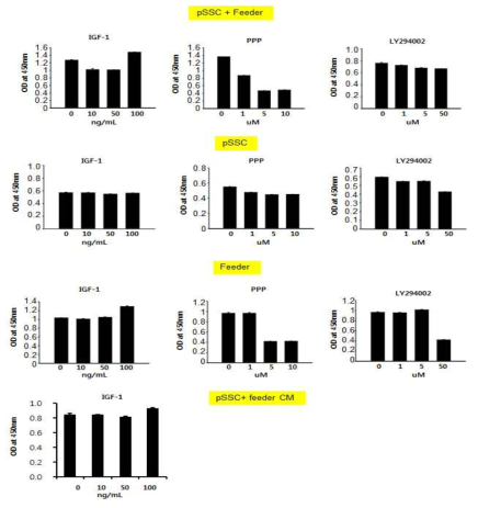IGF1에 의한 줄기세포와 feeder의 증식