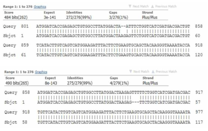 CRISPR/Cas9 방법을 통하여 제작된 ehd1-KO 형질전환 식물체들을 목표 부위 genomic DNA sequencing을 통하여 조사하였다. 조사 한 대부분의 라인들에서 염기서열 삽입 또는 삭제의 돌연변이가 관찰되었다