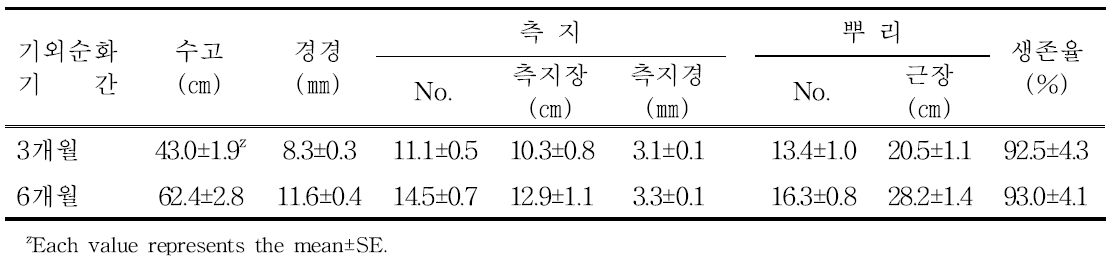 “청수” 품종 기외순화 기간별 유목 생육특성