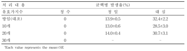 품종에 따른 균핵병 발생율