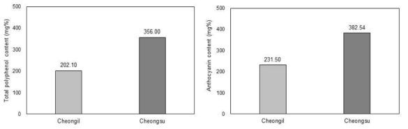 품종별 오디 잼의 총 폴리페놀(좌) 및 안토시아닌(우) 함량