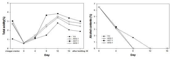 오디 발효주를 이용한 오디식초의 산도(좌) 및 알코올 분해능(우)