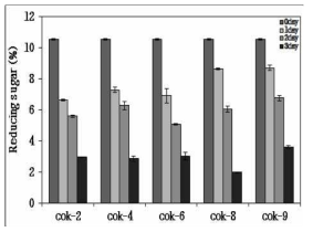 청일품종을 이용한 유산균주별 발효액의 환원당 함량 분석