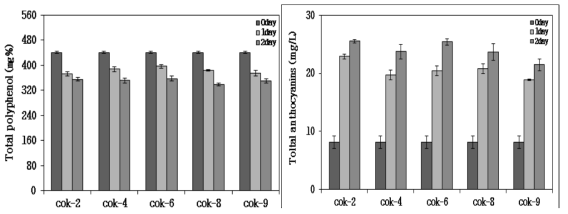 청수 품종을 이용한 유산균주별 발효액의 총 폴리페놀(좌) 및 총 안토시아닌(우) 함량
