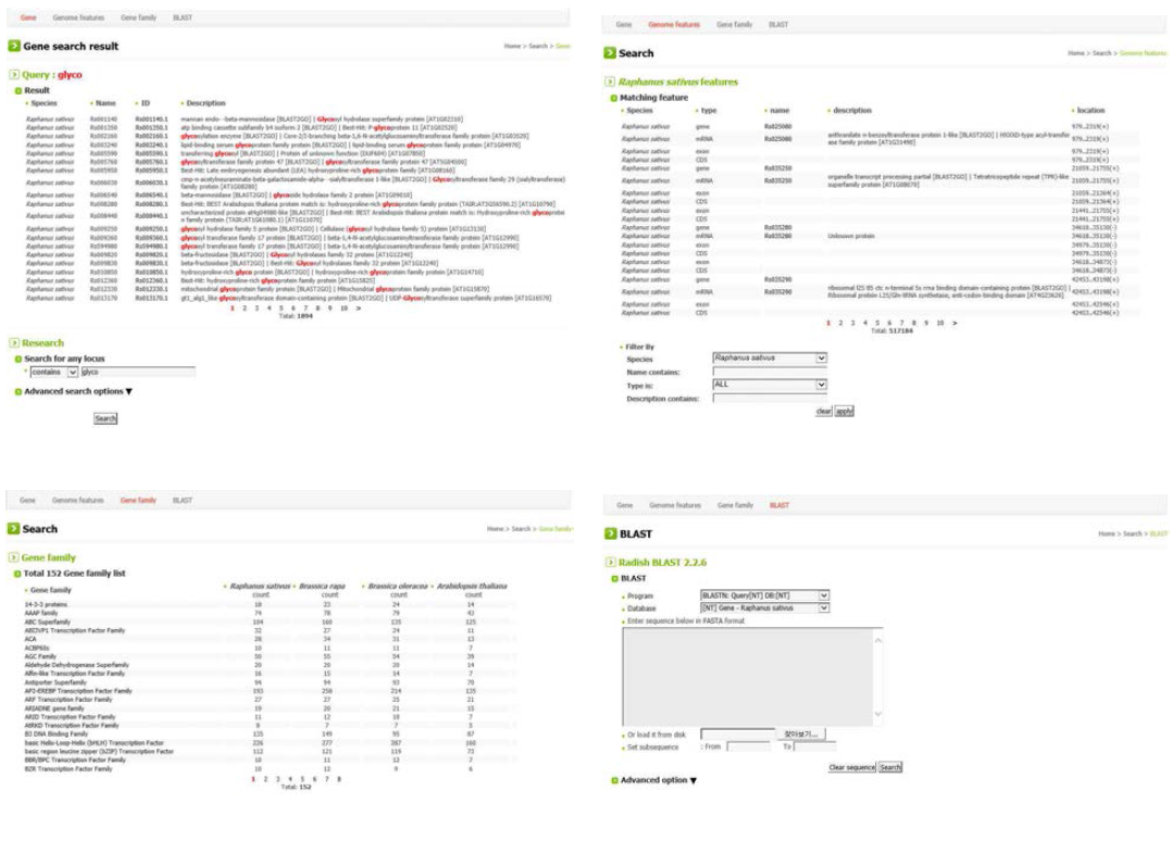 무 표준유전체 웹 데이터베이스의 주요 항목 예시. 유전자 검색, Gene family, BLAST 검색 화면