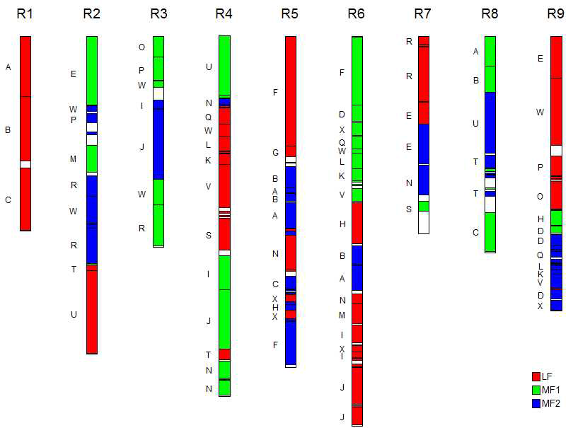 무 염색체 상에서 3배수화 영역의 구성. 염색체 각 구간의 왼쪽에 AK 영역을 표기함. 3배수화 영역별 유전자 보존 특성은 빨간색(LF), 녹색(MF1), 파란색(MF2)으로 각각 나타냄