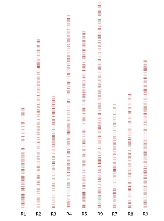 무 표준유전체 Rs2.0에서 신규 예측된 유전자의 분포. R1부터 R9까지 pseudomolecule에서 적색 영역은 공백 교정 영역에서 신규 예측된 유전자의 위치를 나타냄