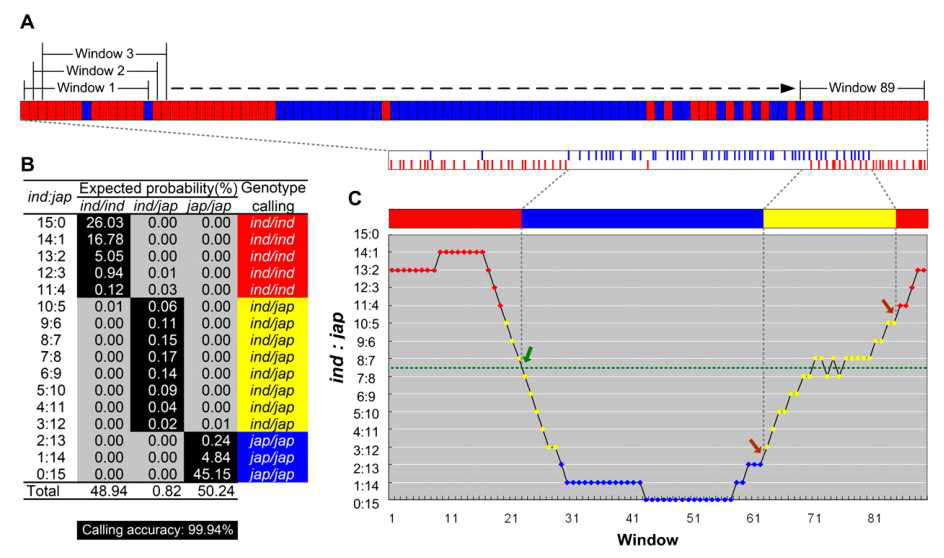 Sliding window를 이용한 genotype calling 및 recombination point 예측.[Huang et al (2009) 참고]