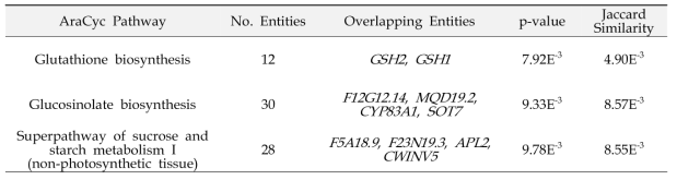 무의 512개 재배화 관련 후보유전자에 대한 398개 애기장대 상동유전자의 AraCyc 생화학 경로